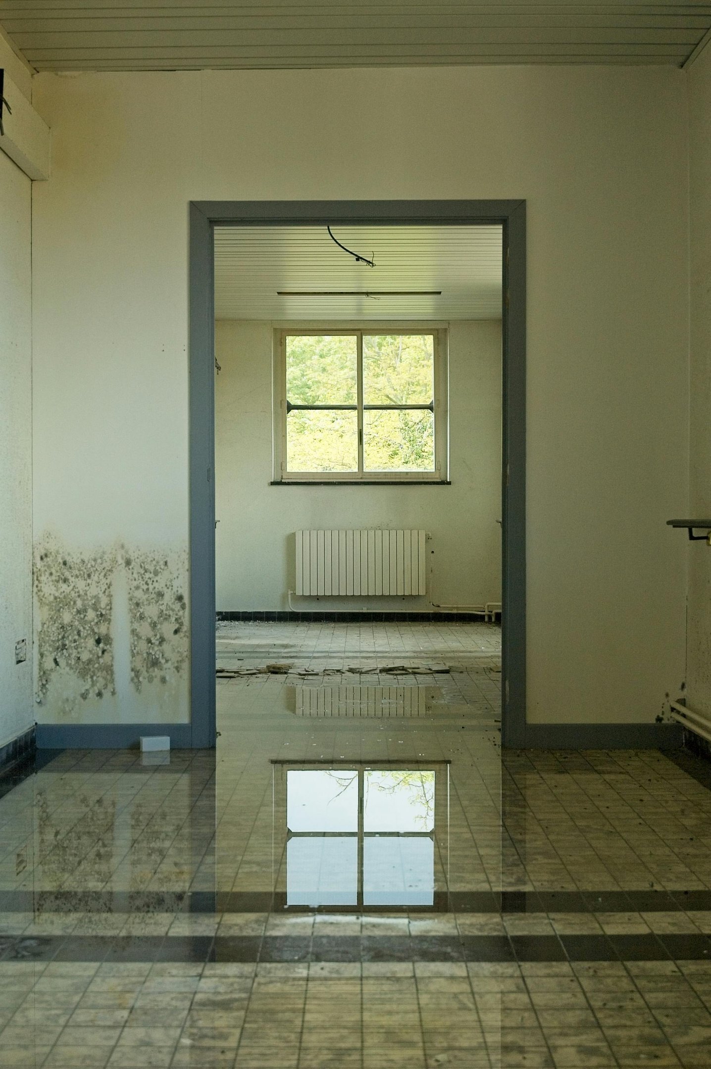 Flooded interior floor with water reflecting a window and mold staining on the wall